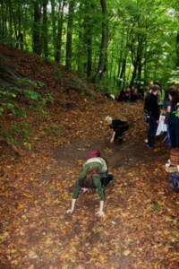 Eichhörnchen bei der Futtersuche