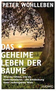 das-geheime-leben-der-baeume