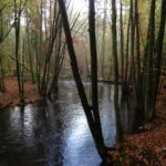 der Fluss ist überwiegend beschattet