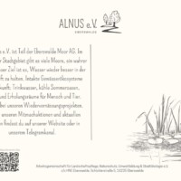 Postkarten-Rückseite
